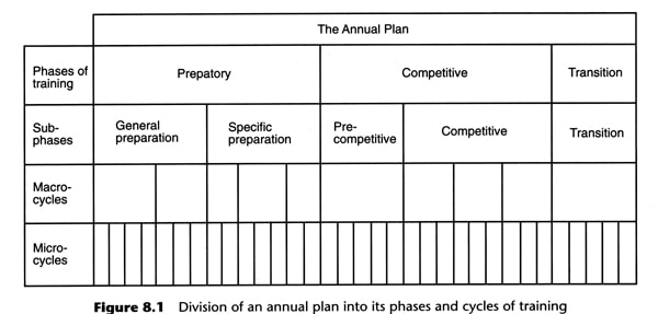 Exercise Periodization Chart